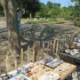 Ein Blick über einen Mineralienstand auf das Außengelände des  Bildungsforums für Schule, Natur und Umwelt